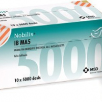NOBILIS IB MAS 5000 DOSIS BRONQUITIS