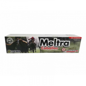 MELTRA EQUINO
