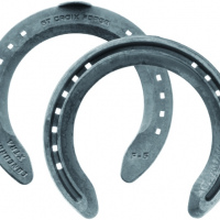 HERRADURA CONCORDE EGG 6 F