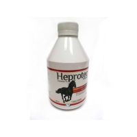 HEPROTEC EQUINO 500ml